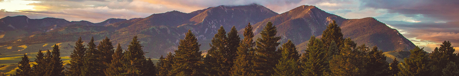 Bridgers
